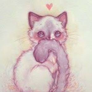 Meet your Posher, Jayden